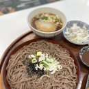 청주 시내 맛집 '백소정 청주성안길점' 소바,돈까스후기