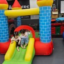 용인대 마스터진 태권도 이미지