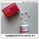 워너핏 | 워너핏 가슴볼륨영양제 내돈내산 솔직 후기✅