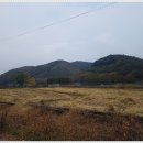 청양전원부동산공인중개사 이미지