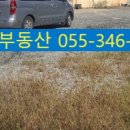 뉴LG공인중개사사무소 이미지