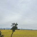 캠프메리어라운드 이미지