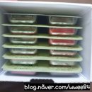 바우약국 이미지