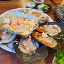 원두댕댕이 이미지