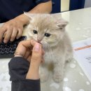 이로동물의료센터 이미지