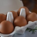 부원농장 이미지