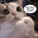 [대전맛집] 한번 가면 단골이 되어버리는 대전 참치 맛집 참치어화 다찌석 후기