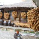 미가풍경
