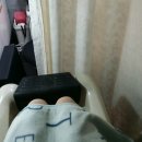 진영큐어 이미지