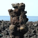 제주 비양도 호니토 이미지