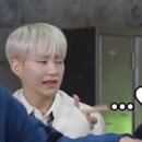 거북이 차과자 이미지