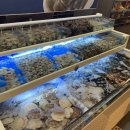 조개몽땅 이미지