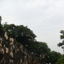 몬떼 Daum카페