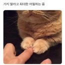 앤🌹 이미지