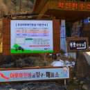 와인동굴 | 무주 여행 필수 코스 머루와인동굴 솔직 후기