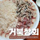 칠암거북 이미지