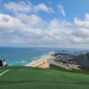 안경나라(도동점) | 한 달 반만의 컴백 + 울릉도 혼자 여행기