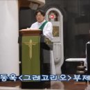 달임