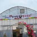 더리버온 이미지