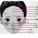 오장육부 이미지