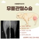 더엘동물의료센터 이미지