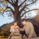 말하는 은행나무 이미지