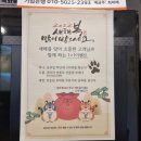 나우커피점