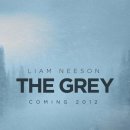 더그레이 The Gray 이미지