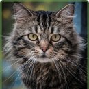 24시큰사랑동물병원 이미지