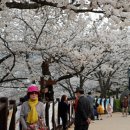 한고개길 이미지