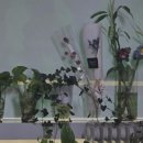 널위한수학학원 - 전주시 완산구 당산로 38 | 널위한수학학원