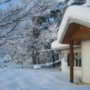 금강농원 이미지