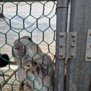 솔비네 집 이미지