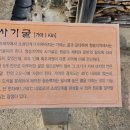 청송도석 앞 이미지