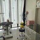 마이유어펫살롱 이미지