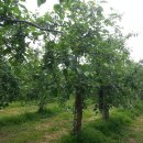 뉴한길공인중개사사무소 이미지