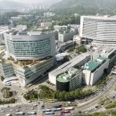 메디컬옥션 서울신문