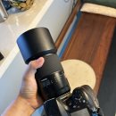 비바리올 | 6월 18일 경기북부 야간 2부, 그런데 이제 렌즈 리뷰를 곁들인. Tamron SP 90mm F/2.8 Di MACRO 1:1 VC...
