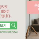 금돼지부동산공인중개사사무소 이미지