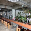 씨제이올리브영전주평화점 | 전주 평화와평화 구내매점 전북대 공부하기 좋은 카페 추천