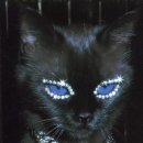 서초대로54길 48-3 이미지