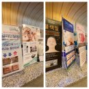 서면엘레슈의원 이미지