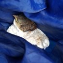 양강농장 이미지