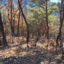 전호농장 이미지