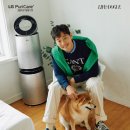 도그플러스 이미지