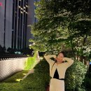 웨스틴 조선 서울 아리아 후기 (아기 동반 혹은 가족모임 추천)