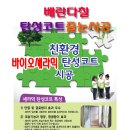 【베란다칠】친환경 바이오세라믹 탄성코트 줄눈시공 이미지