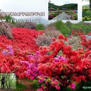 완산-169 이미지