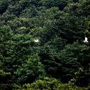 고래실길 이미지