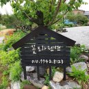 꽃보라펜션 이미지